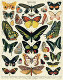 Butterflies 1000-Piece Jigsaw Puzzle