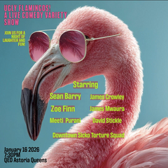 Ugly Flamingoes (1/16)