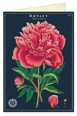 Botany Series Greeting Card