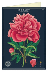 Botany Series Greeting Card