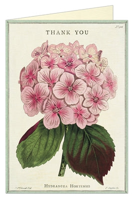 Thank You Fleur 1 Greeting Card
